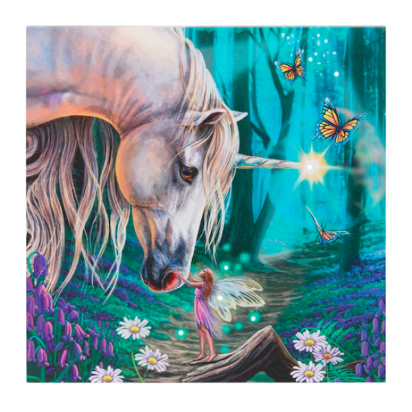 Light up Canvas Lisa Parker Fairy Whispers